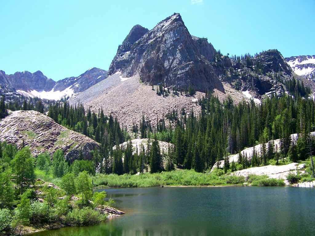 big cottonwood canyon - by bryant olsen - aquila-chrysaetos