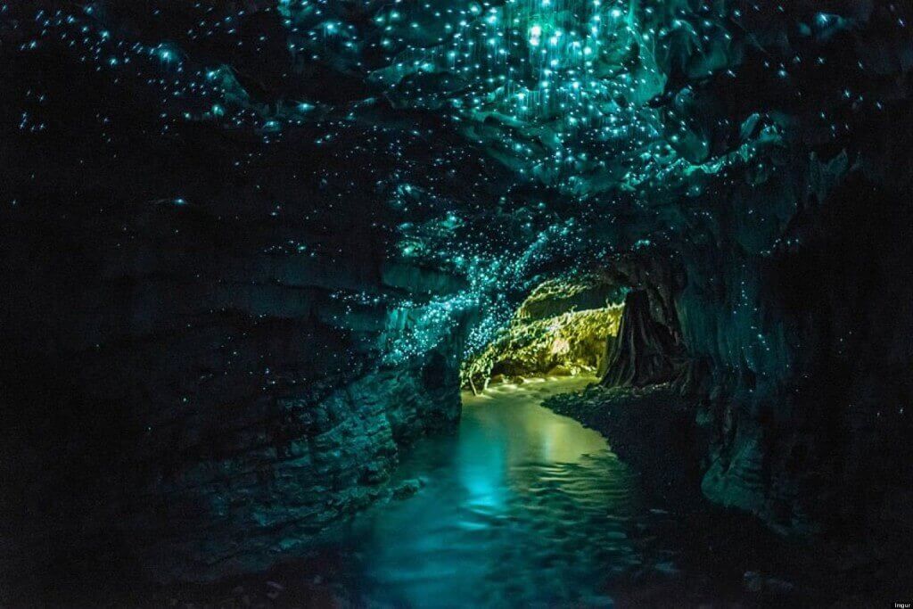 Waitomo Glow Worm Caves, New Zealand - by oil org - 2ilorg /Flickr