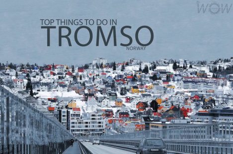Top 9 Things To Do In Tromso