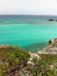 Top 8 Things To Do In Turks and Caicos 2023 - WOW Travel