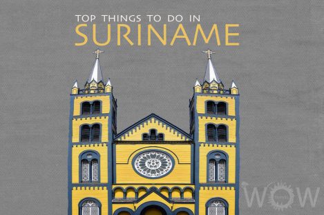 Top 5 Things To Do In Suriname