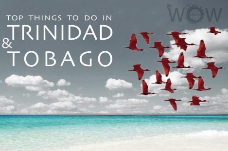 Top 6 Things To Do In Trinidad And Tobago
