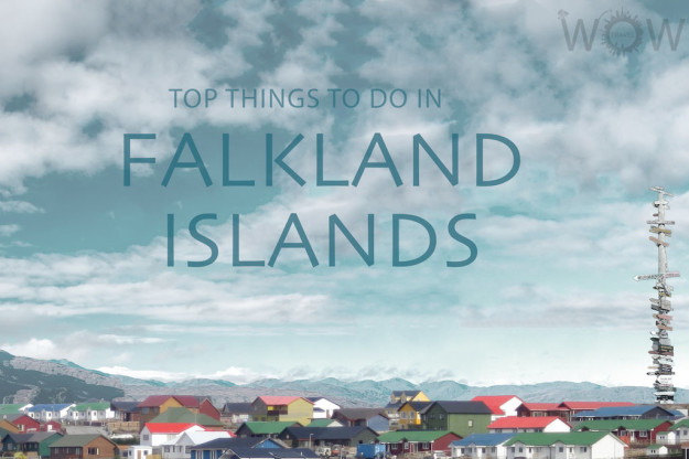 Top 6 Things To Do in Falkland Islands