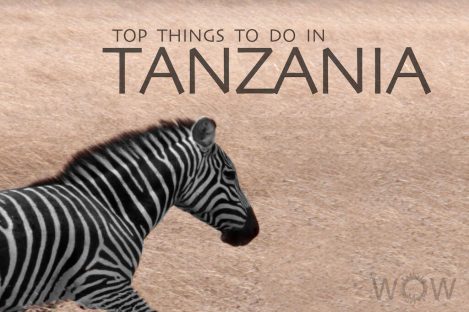 Top 9 Things To Do In Tanzania