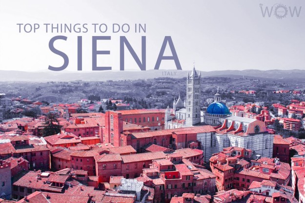 Top 7 Things To Do In Siena