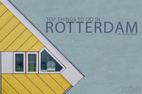 Top 9 Things To Do In Rotterdam