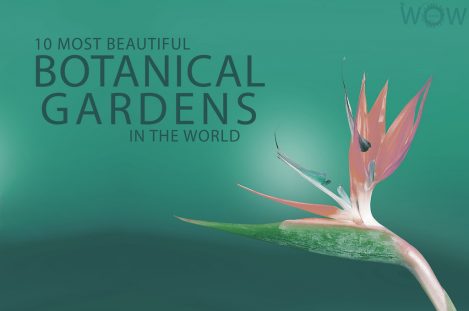 10 Most Beautiful Botanical Gardens In The World 2