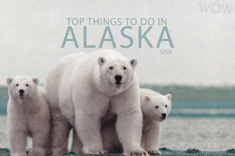 Top 9 Things To Do In Alaska