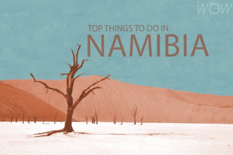 Top 8 Things To Do In Namibia
