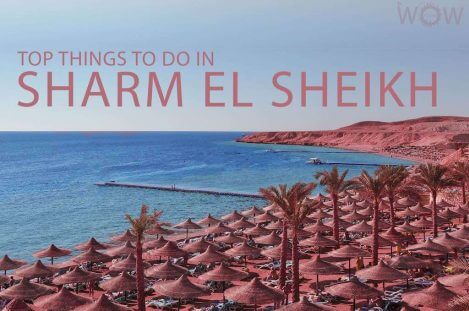 Top 11 Things To Do in Sharm El Sheikh