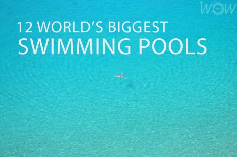 12 World's Biggest Swimming Pools