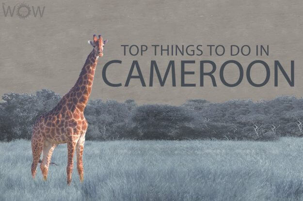 Top 10 Things To Do In Cameroon
