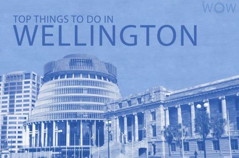 Top 12 Things To Do In Wellington