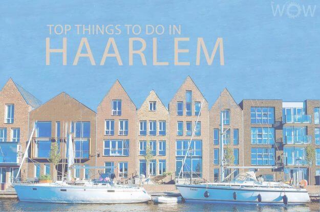Top 12 Things To Do In Haarlem