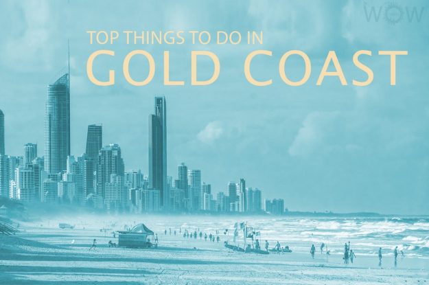 Top 12 Things To Do In Gold Coast