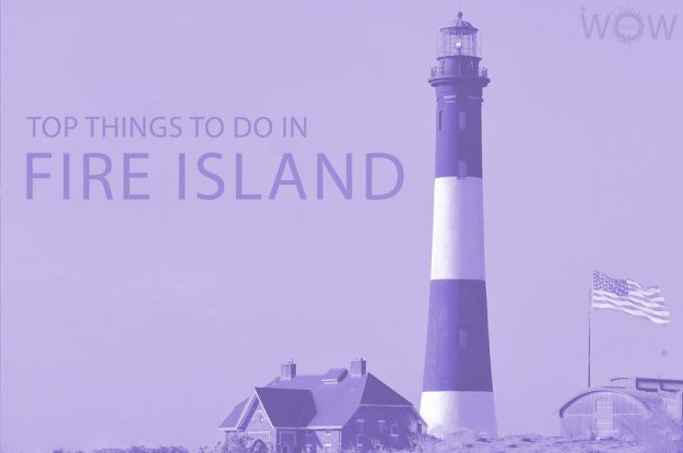 Top 9 Things To Do In Fire Island