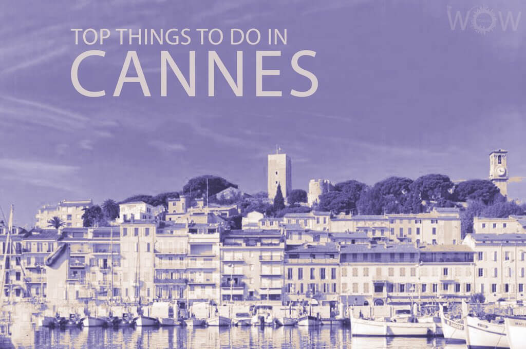 Top 12 Things To Do In Cannes