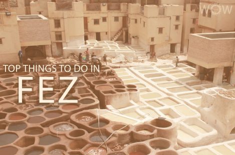 Top 12 Things To Do In Fez