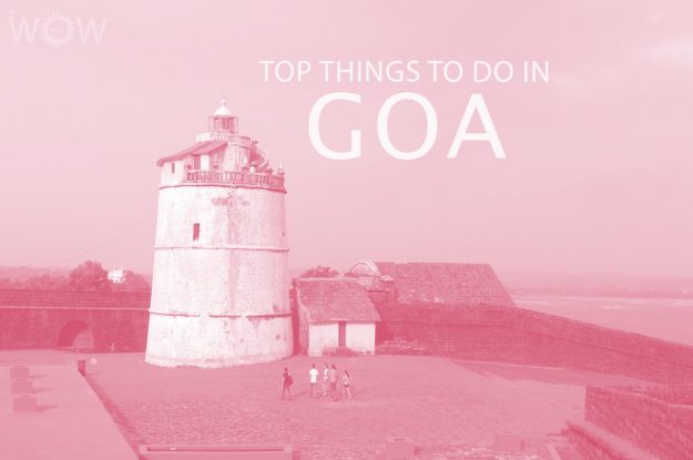 Top 12 Things To Do In Goa