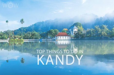 Top 10 Things To Do In Kandy