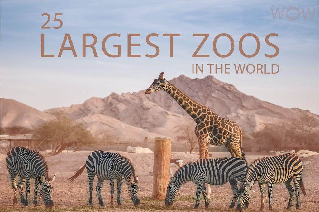 25 Largest Zoos In The World 2023 - WOW Travel