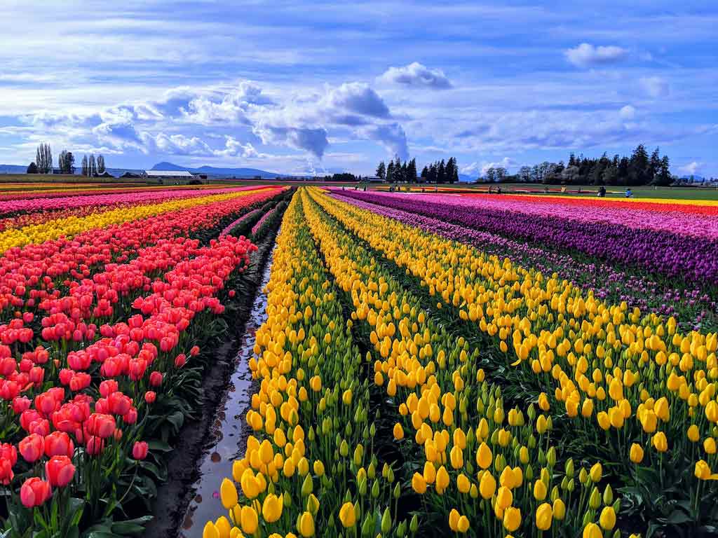 best places to visit in washington state in spring
