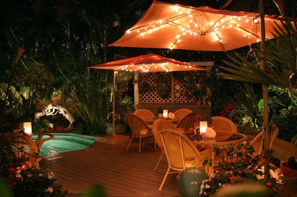 The Mermaid &amp; The Alligator - por The Mermaid &amp; The Alligator - Booking.com