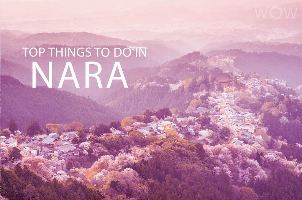 Top 10 Things To Do In Nara