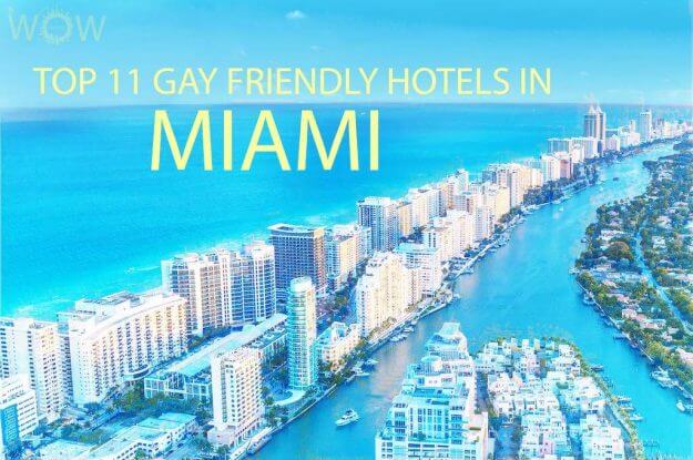 Top 11 Gay Friendly Hotels In Miami