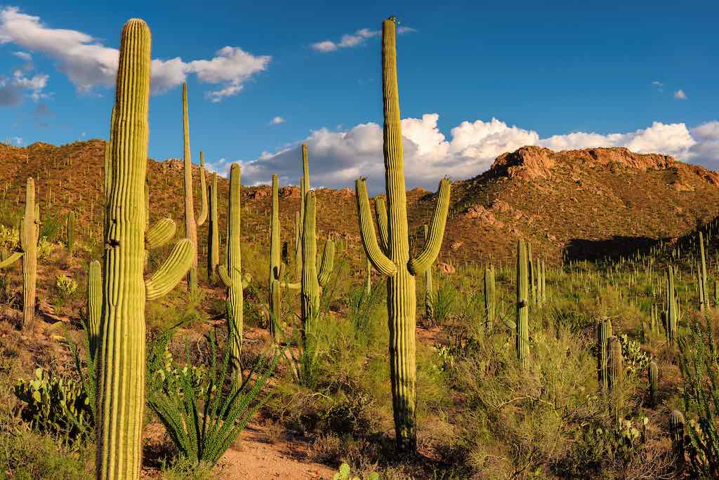 Top 25 Things To Do In Arizona - USA - WOW Travel