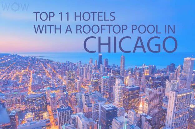 Top 11 Hotels With A Rooftop Pool In Chicago
