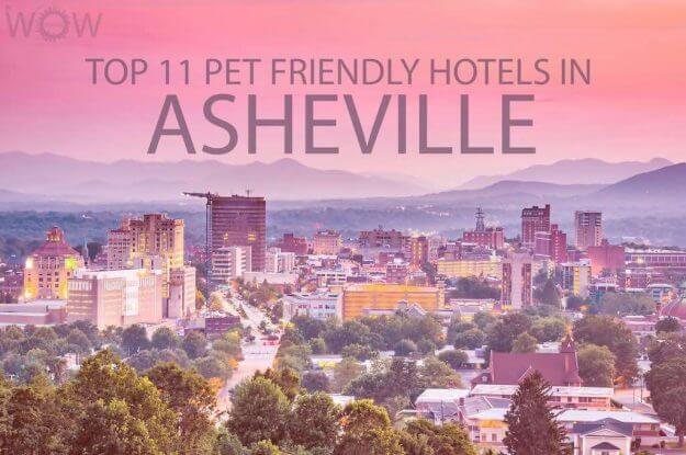 Top 11 Pet Friendly Hotels In Asheville NC