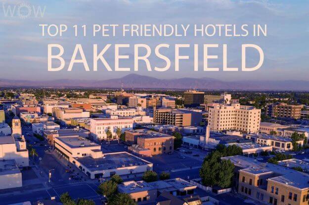 Top 11 Pet Friendly Hotels In Bakersfield