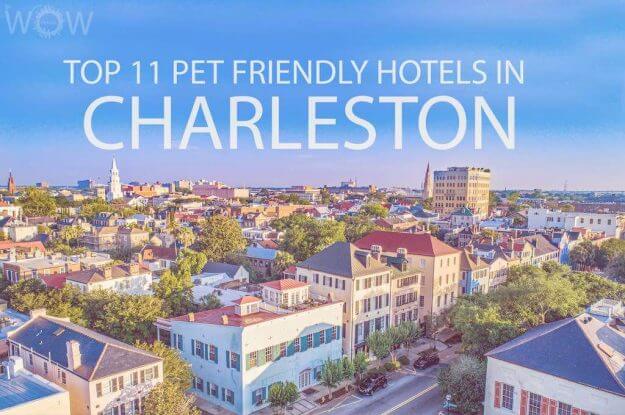 Top 11 Pet Friendly Hotels In Charleston SC