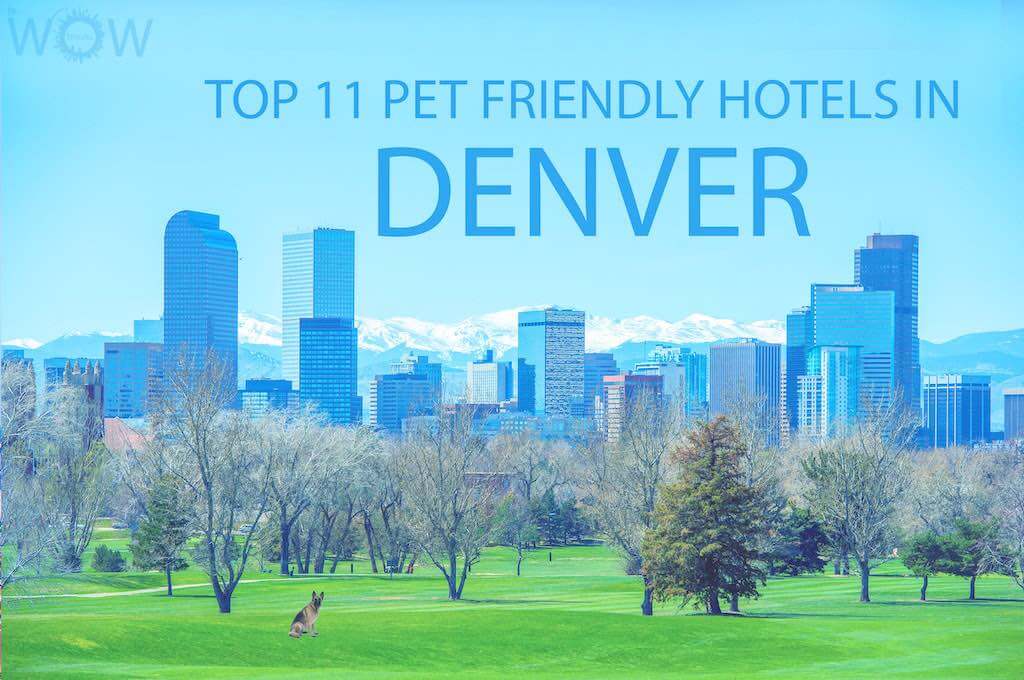 Los 11 mejores hoteles que admiten mascotas en Denver