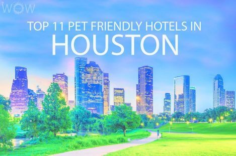 Top 11 Pet Friendly Hotels In Houston