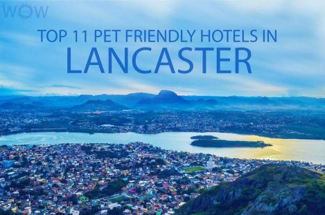 Top 11 Pet Friendly Hotels In Lancaster PA