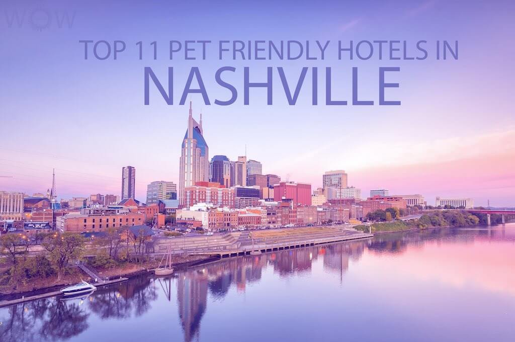 Los 11 Mejores Hoteles Que Aceptan Mascotas En Nashville, TN