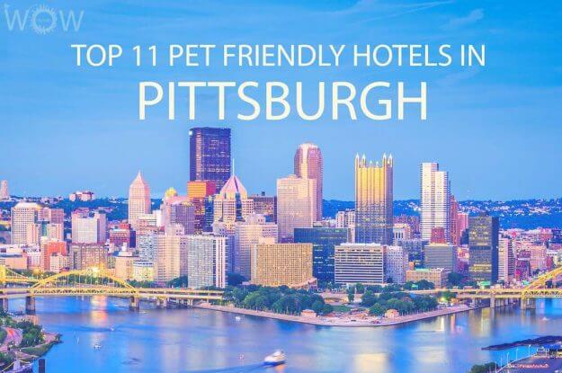 Top 11 Pet Friendly Hotels In Pittsburgh