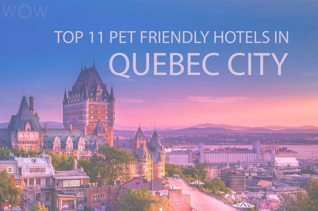 Top 11 Pet Friendly Hotels In Quebec City