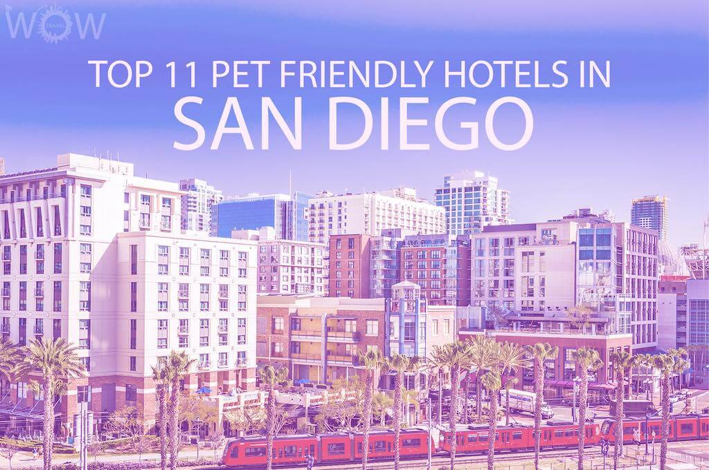 Los 11 Mejores Hoteles que Admiten Mascotas en San Diego