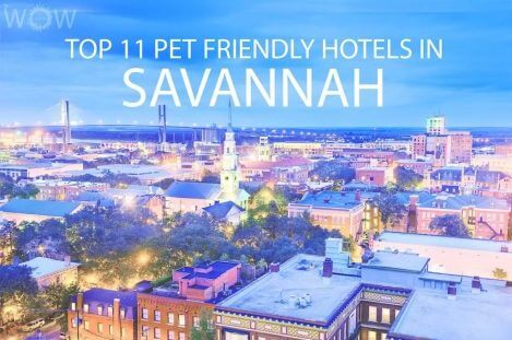 Top 11 Pet Friendly Hotels In Savannah GA