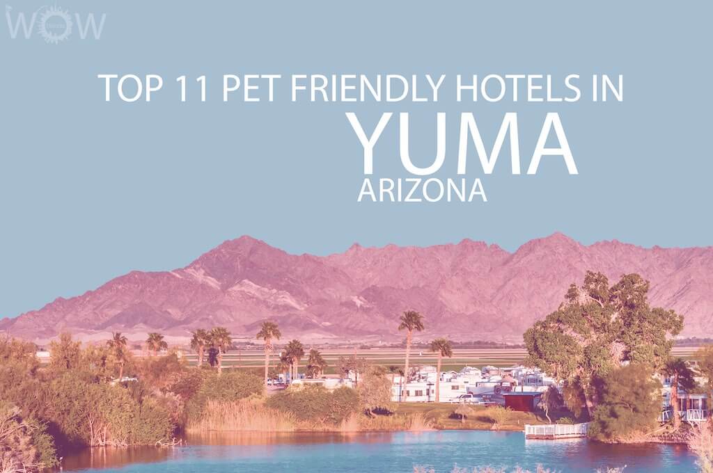 Top 11 Pet Friendly Hotels In Yuma, Arizona