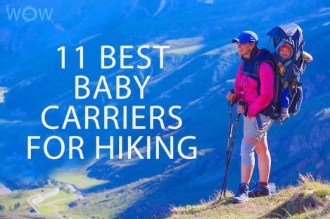 11 Best Baby Carriers for Hiking
