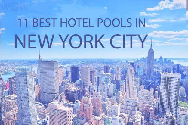 11 Best Hotel Pools In New York City