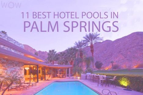 11 Best Hotel Pools In Palm Springs