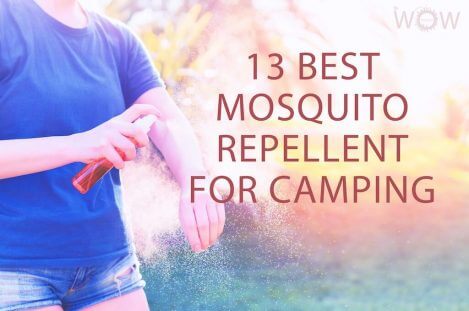13 mejores repelentes de mosquitos para acampar