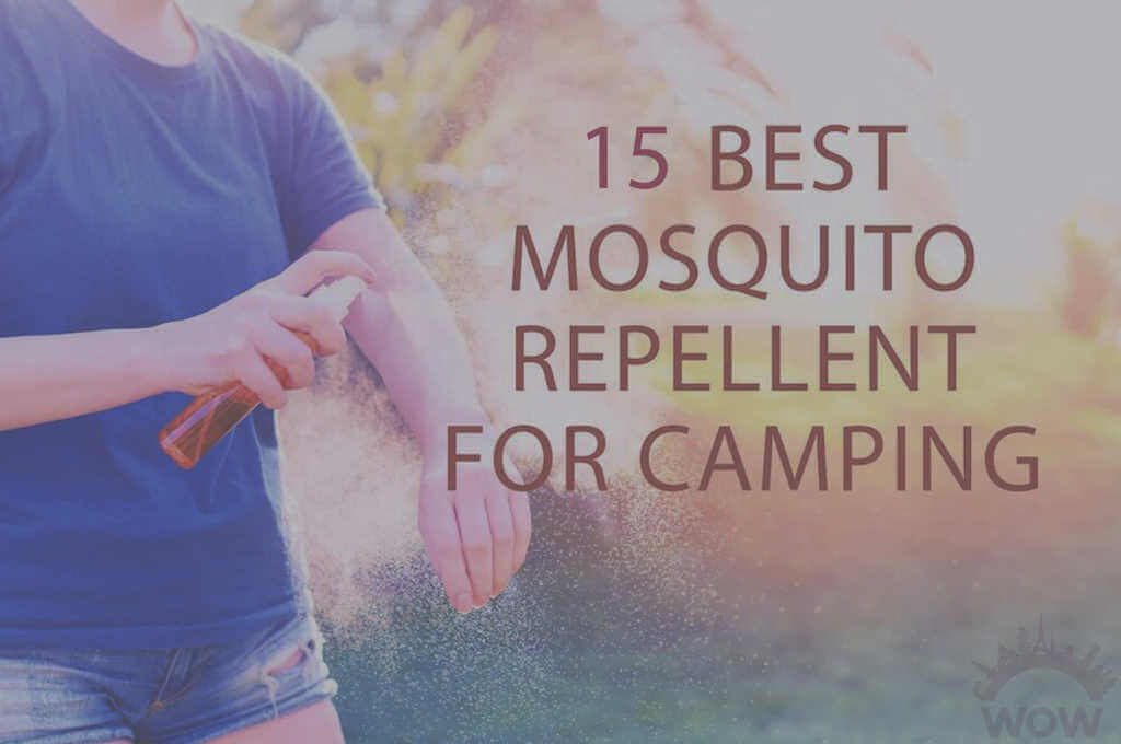15 Best Mosquito Repellent for Camping