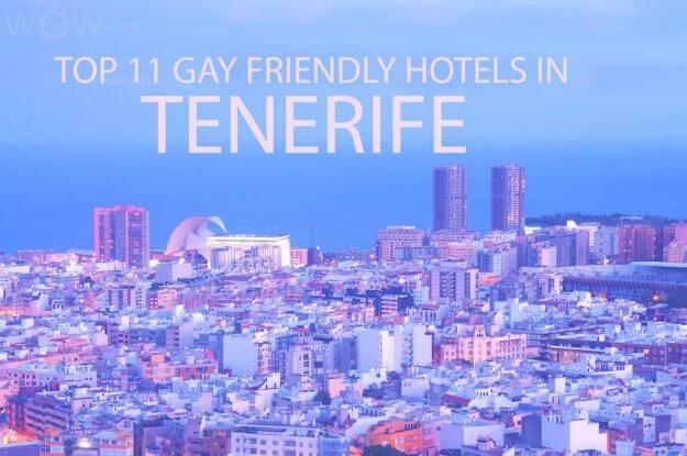 Top 11 Gay Friendly Hotels In Tenerife