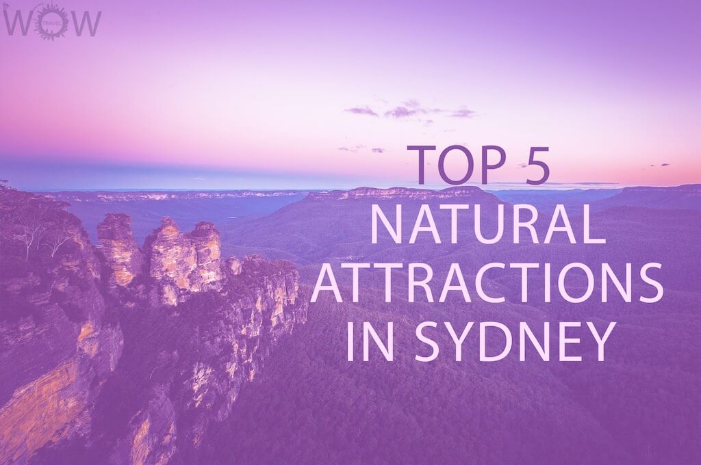 kor Levere Badeværelse Top 5 Natural Attractions in Sydney 2022 - WOW Travel